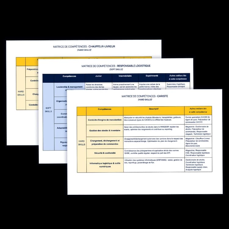 Exemples de matrices de compétences spéciales logistique