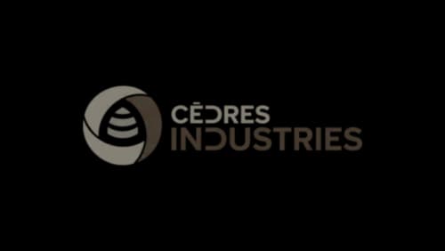 Cèdres industries logo gris