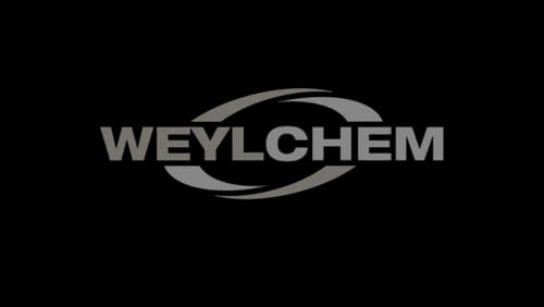 logo weylchem gris