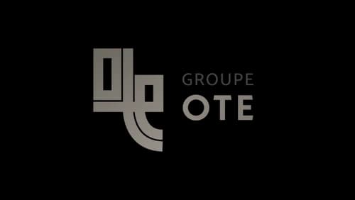 OTE logo gris