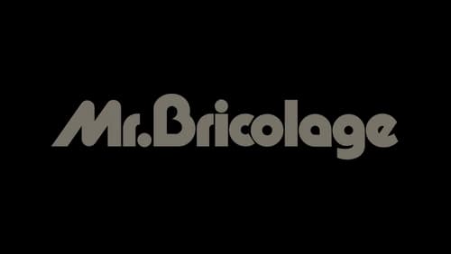 logo mr bricolage gris